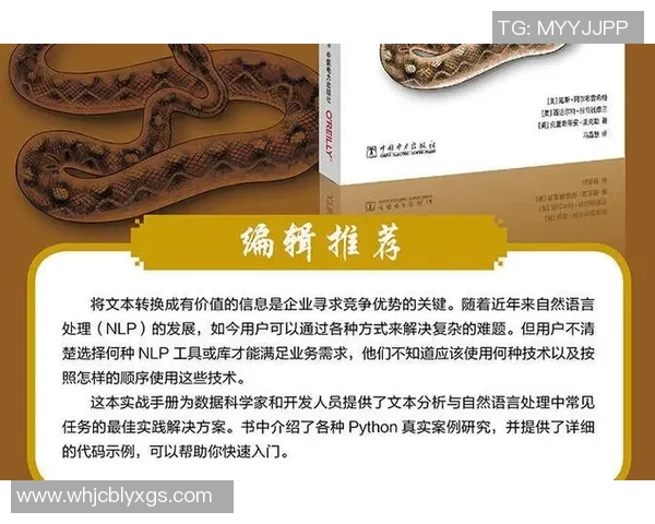 深入分析上海排球队中路突破战术的独特魅力与实战应用